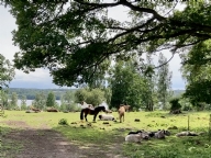 L�genhet i Eksj�